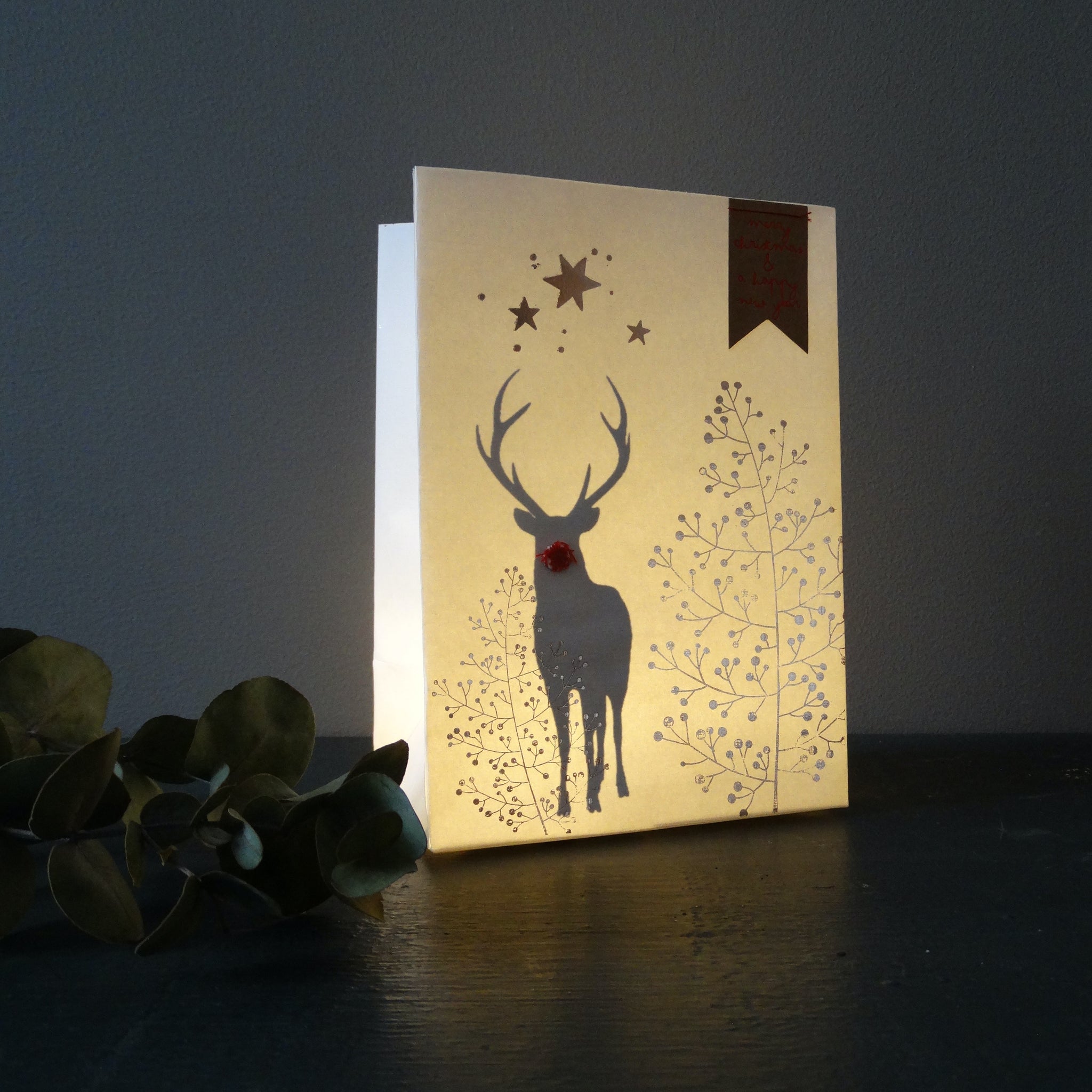 WINTER SCHATTENLICHTTÜTE