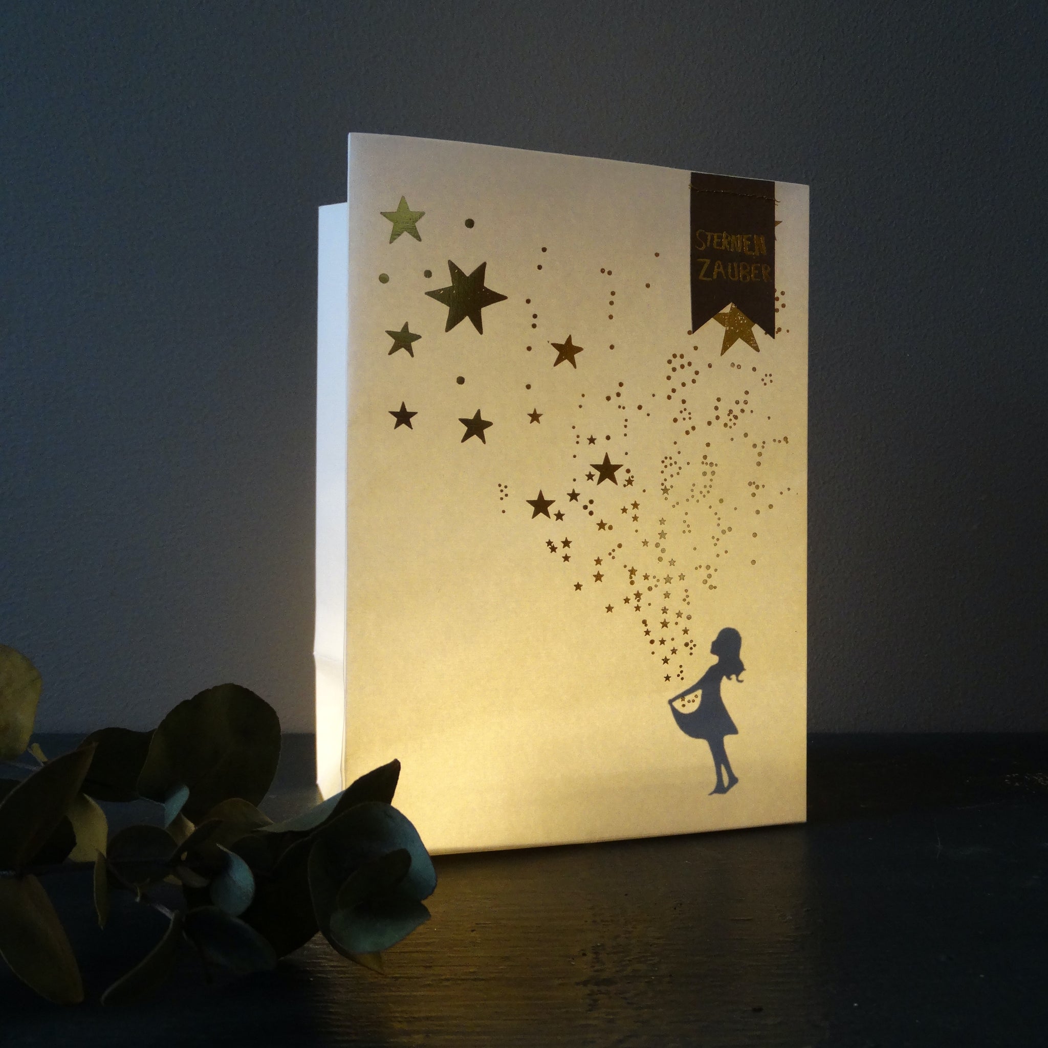 WINTER SCHATTENLICHTTÜTE