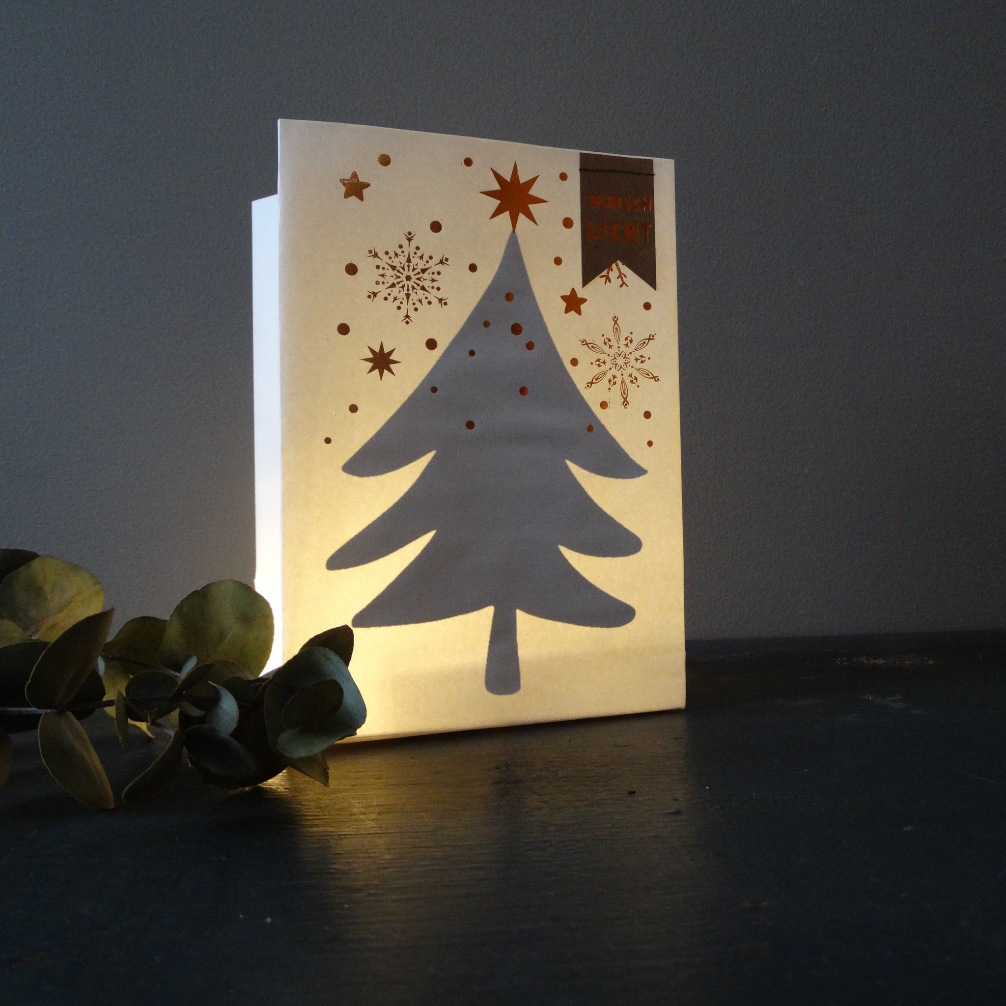 WINTER SCHATTENLICHTTÜTE