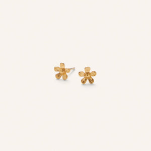 MINI WILD POPPY EARSTICKS