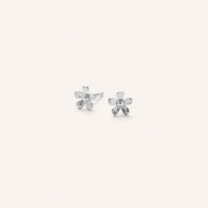 MINI WILD POPPY EARSTICKS