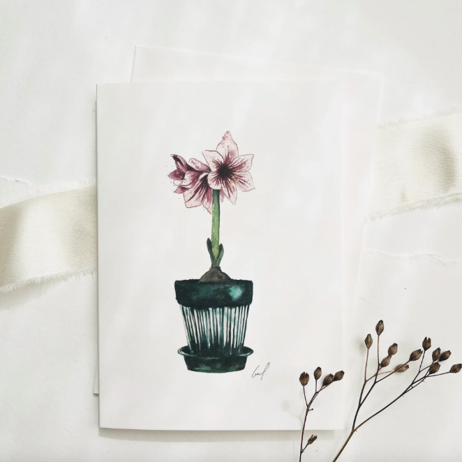 GRUSSKARTE - AMARYLLIS