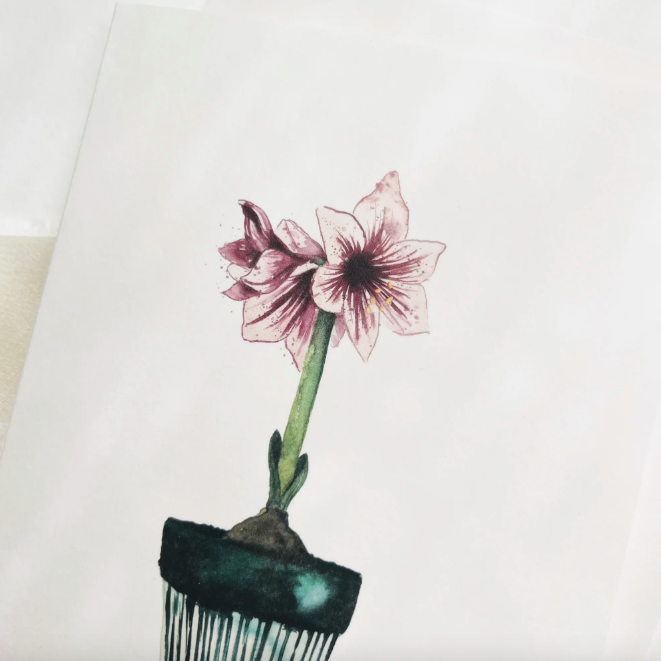 GRUSSKARTE - AMARYLLIS