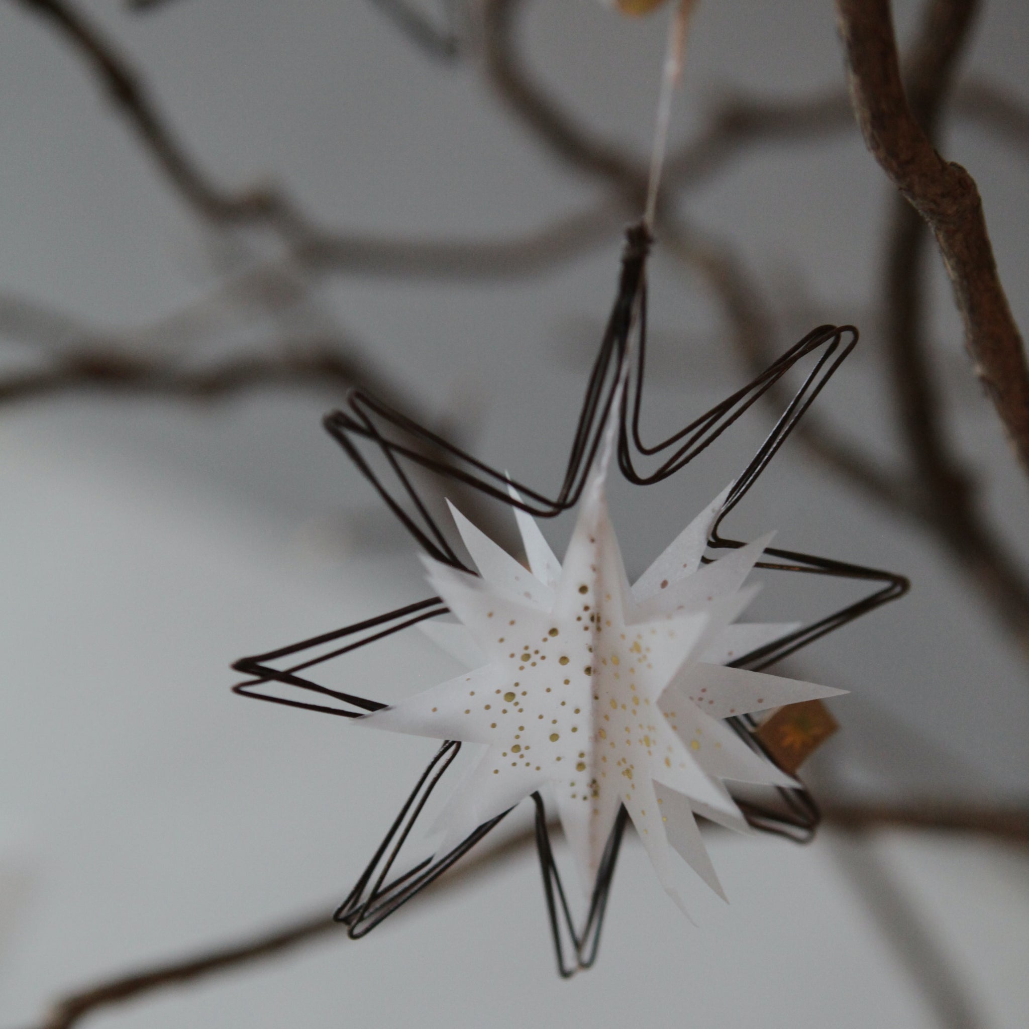 WINTER TRANSPARENT-ORNAMENTE