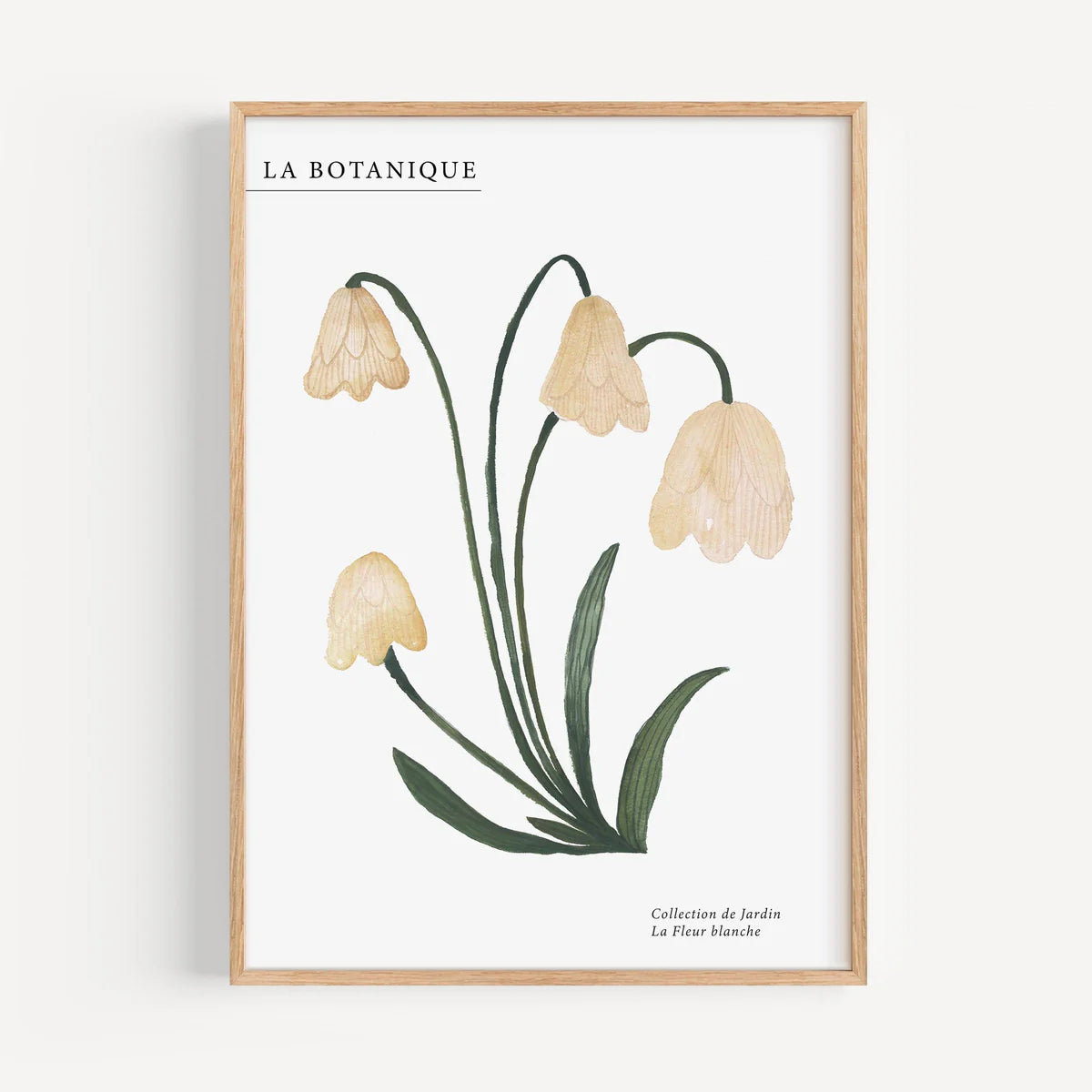 KUNSTDRUCK – LA FLEUR BLANCHE