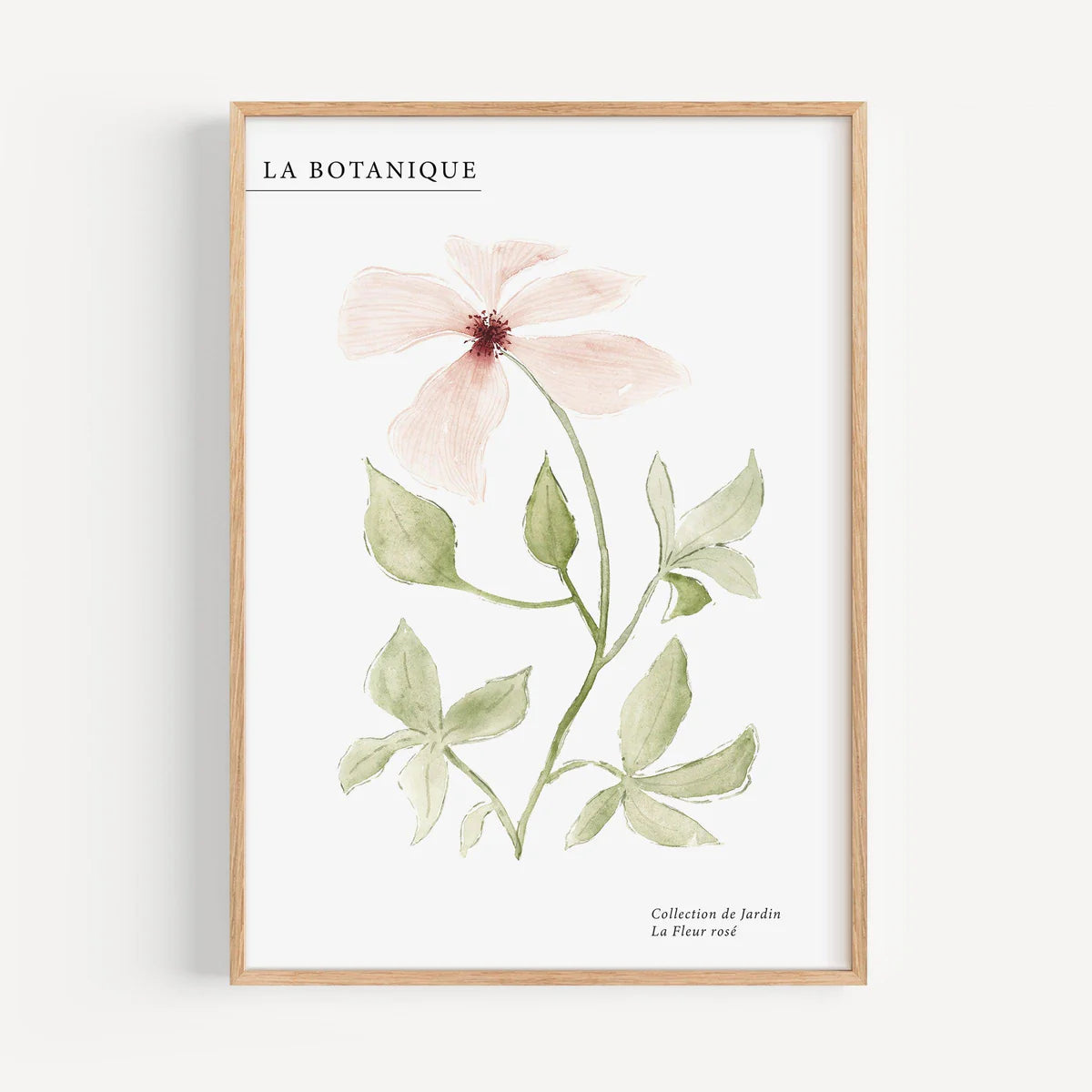 KUNSTDRUCK – LA FLEUR ROSE