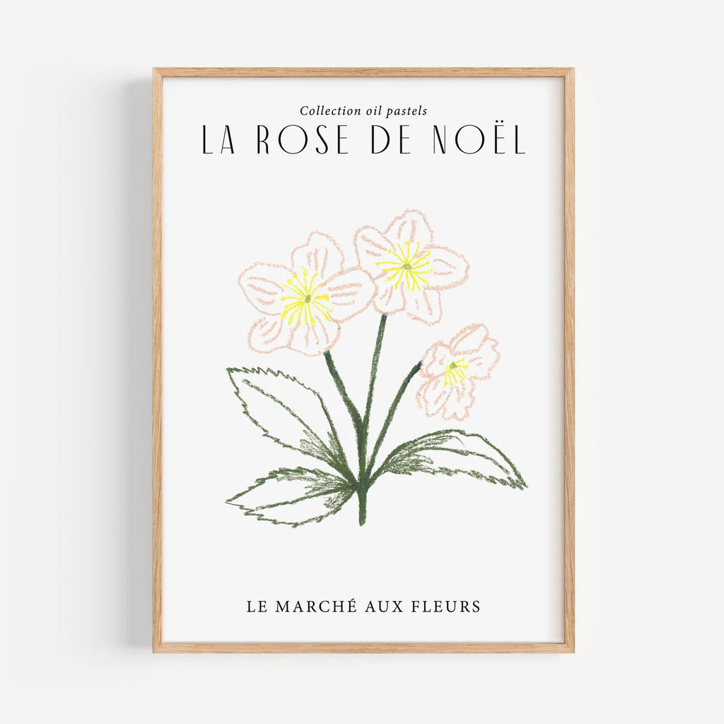 KUNSTDRUCK – ROSE DE NOEL