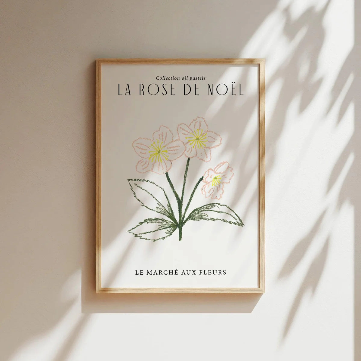 KUNSTDRUCK – ROSE DE NOEL