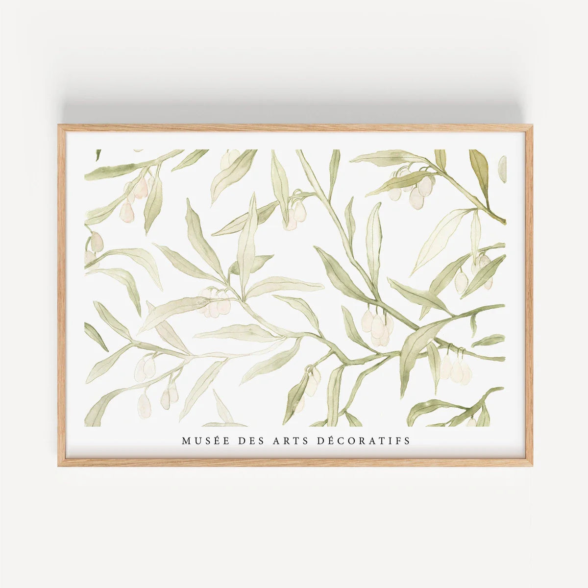 KUNSTDRUCK – OLIVENZWEIG