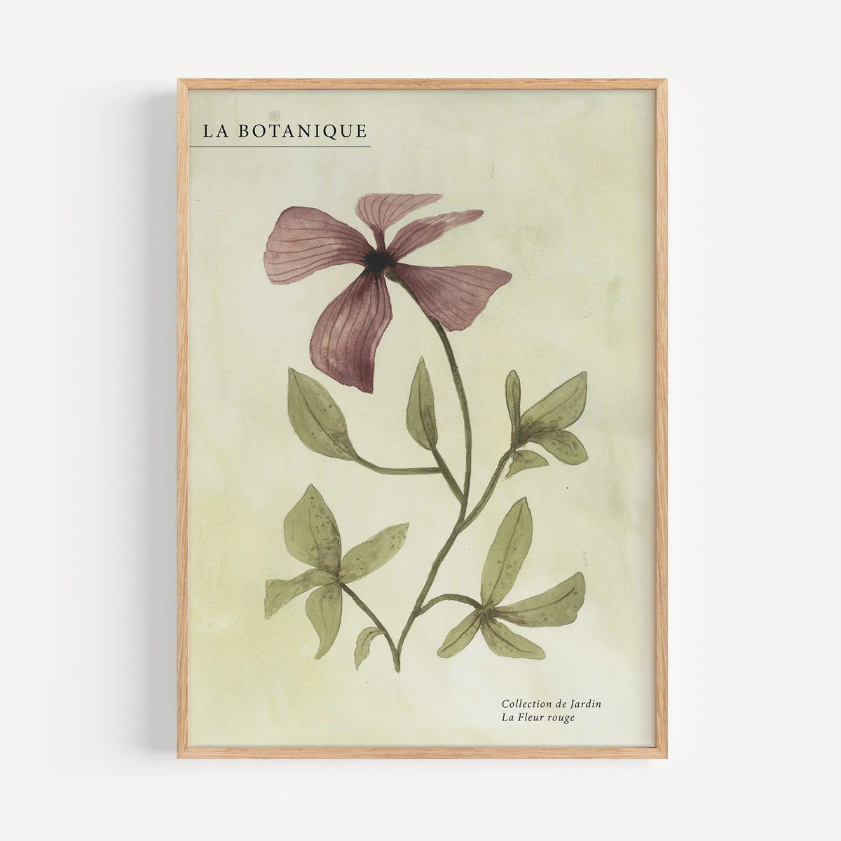 KUNSTDRUCK – FLEUR ROUGE I