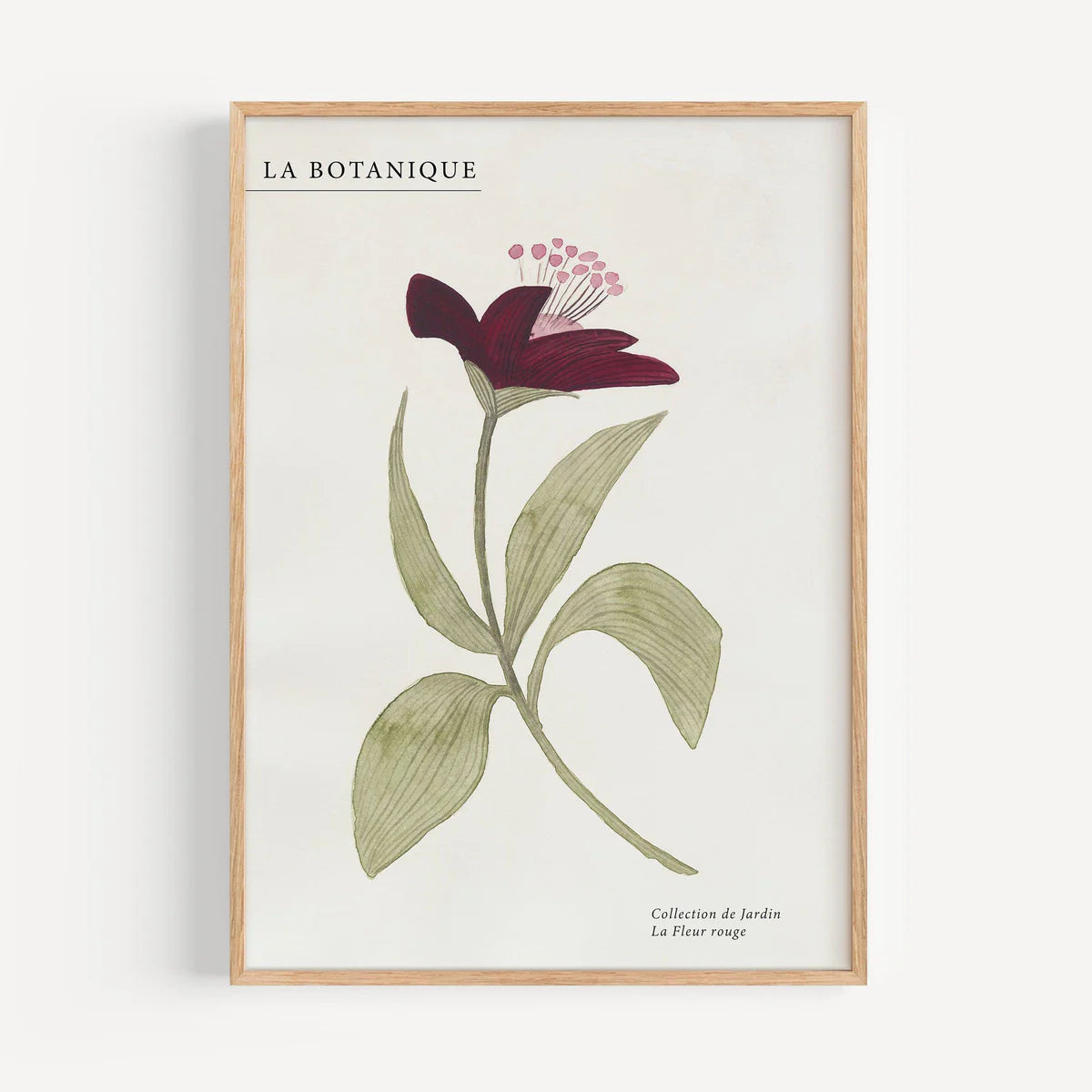 KUNSTDRUCK – FLEUR ROUGE II