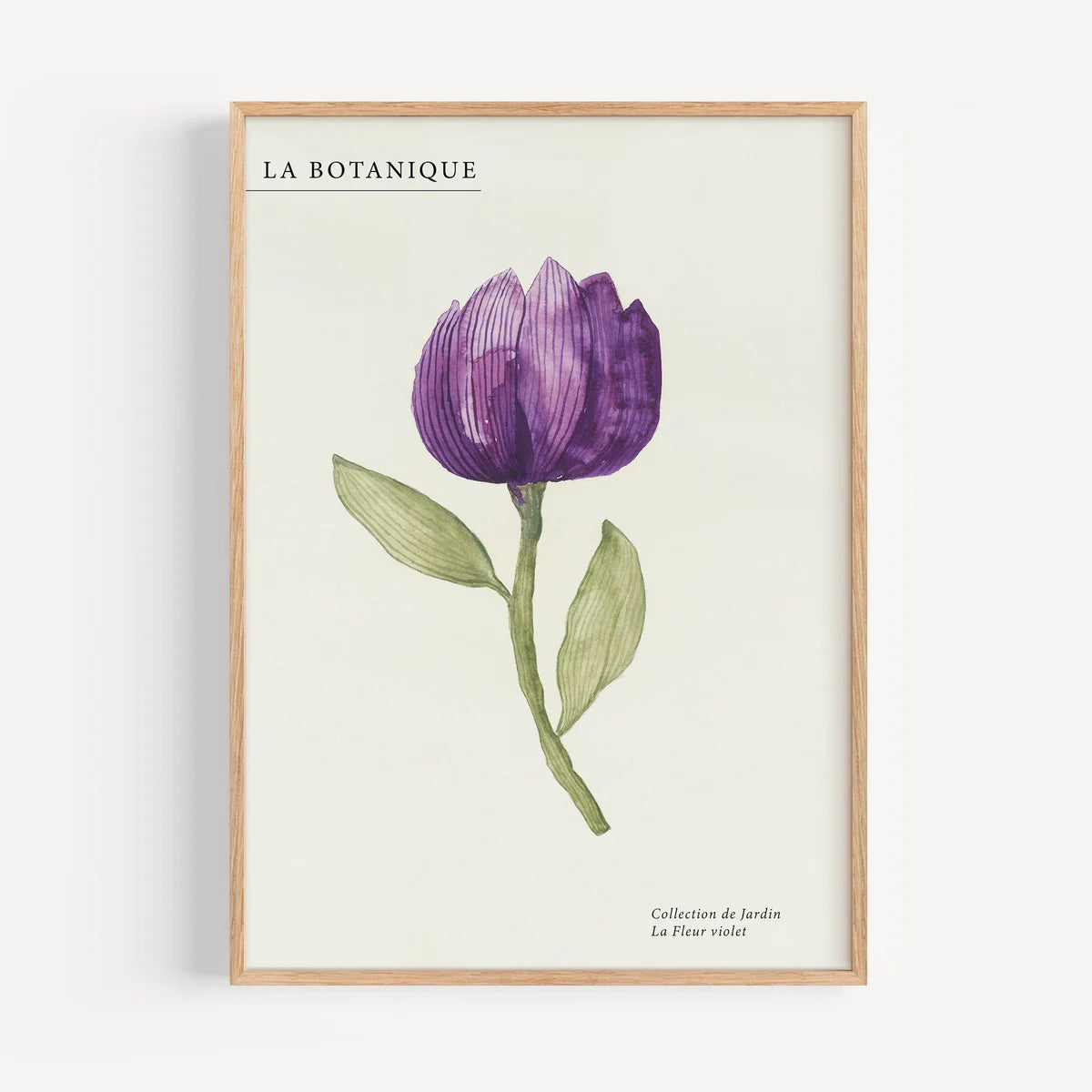 KUNSTDRUCK – FLEUR VIOLET