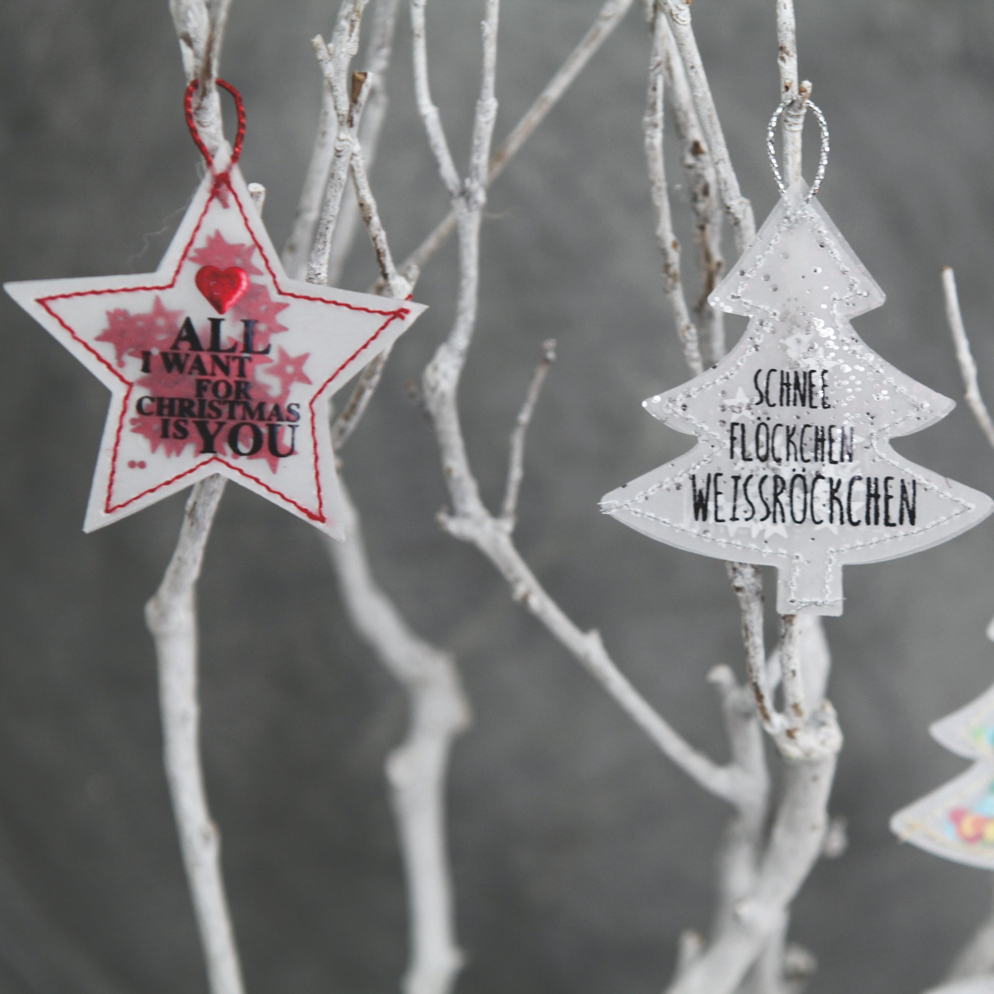 KONFETTI STERNE + BÄUME