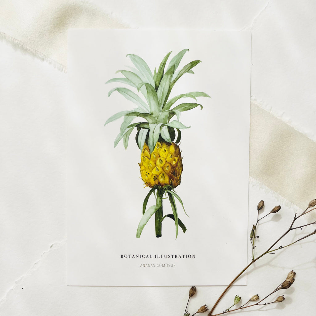 POSTKARTE - ANANAS COMOSUS