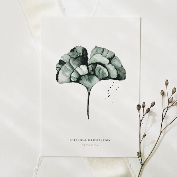 POSTKARTE - GINKGO BILBOA