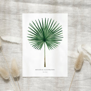 POSTKARTE - FAN PALM