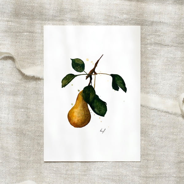 POSTKARTE - PEAR