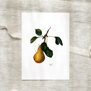 POSTKARTE - PEAR
