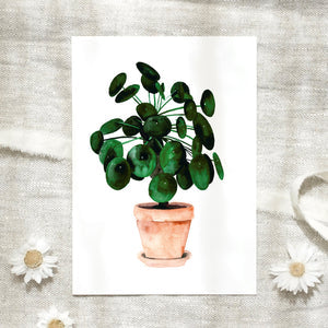 POSTKARTE - PILEA