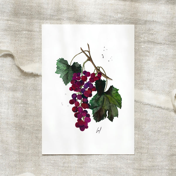 POSTKARTE - GRAPES