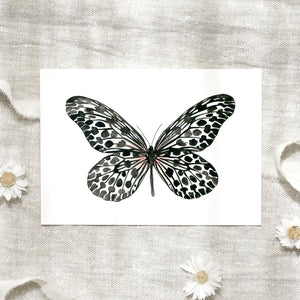 POSTKARTE - BLACK BUTTERFLY