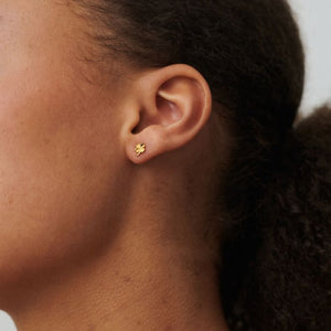 MINI CLOVER EARSTICKS
