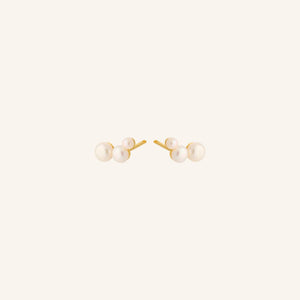 TREASURE EARSTICKS