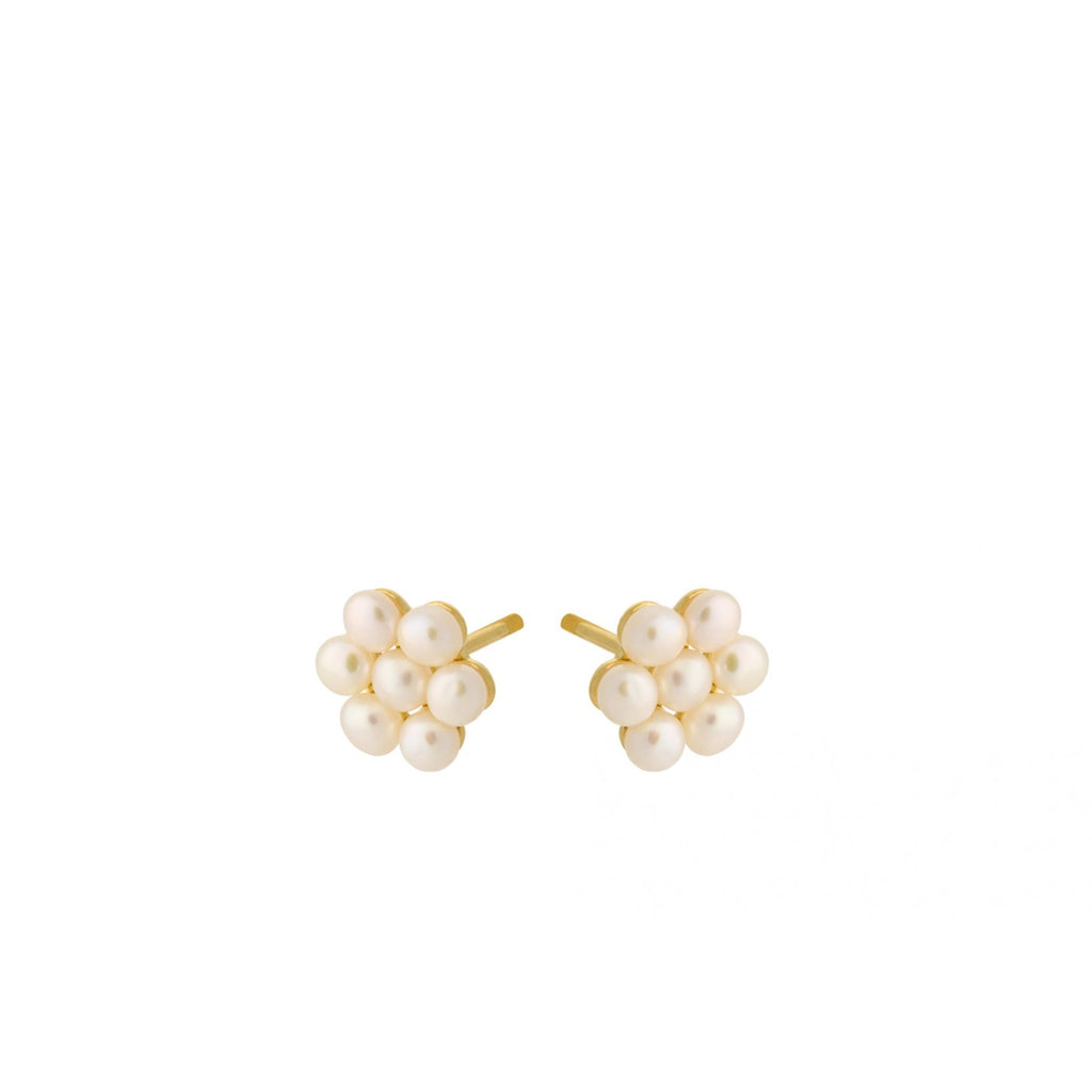 OCEAN BLOOM EARSTICKS