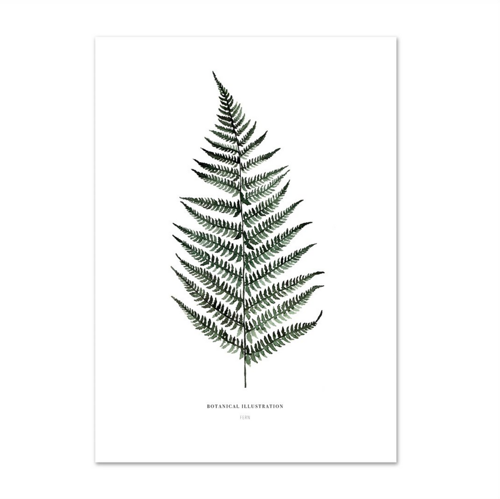 KUNSTDRUCK – FERN