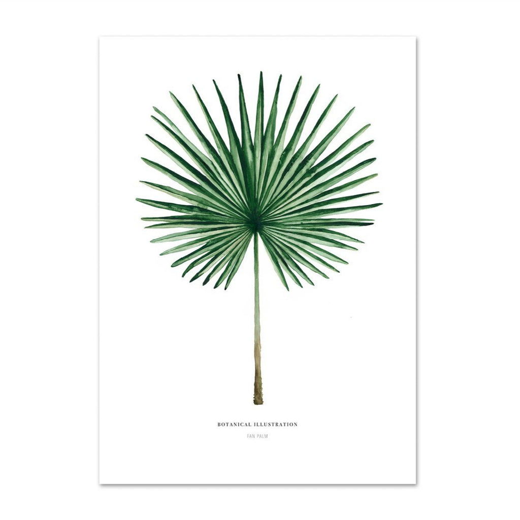 KUNSTDRUCK – FAN PALM