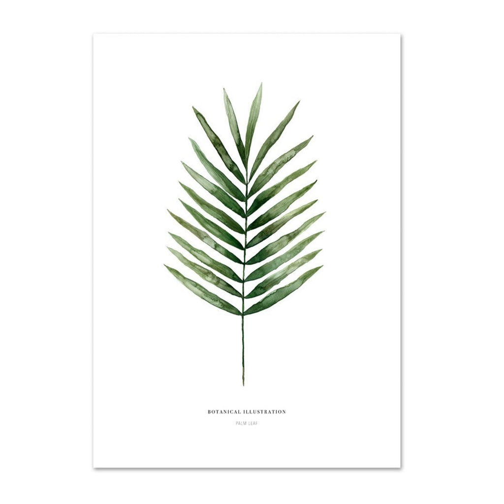 KUNSTDRUCK – PALM LEAF