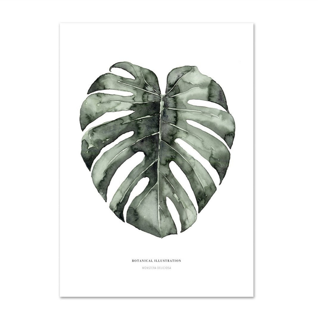 KUNSTDRUCK – URBAN MONSTERA