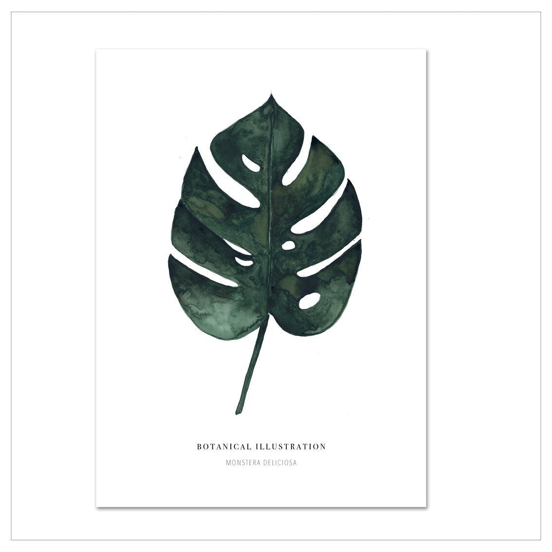 KUNSTDRUCK – MONSTERA DELICIOSA