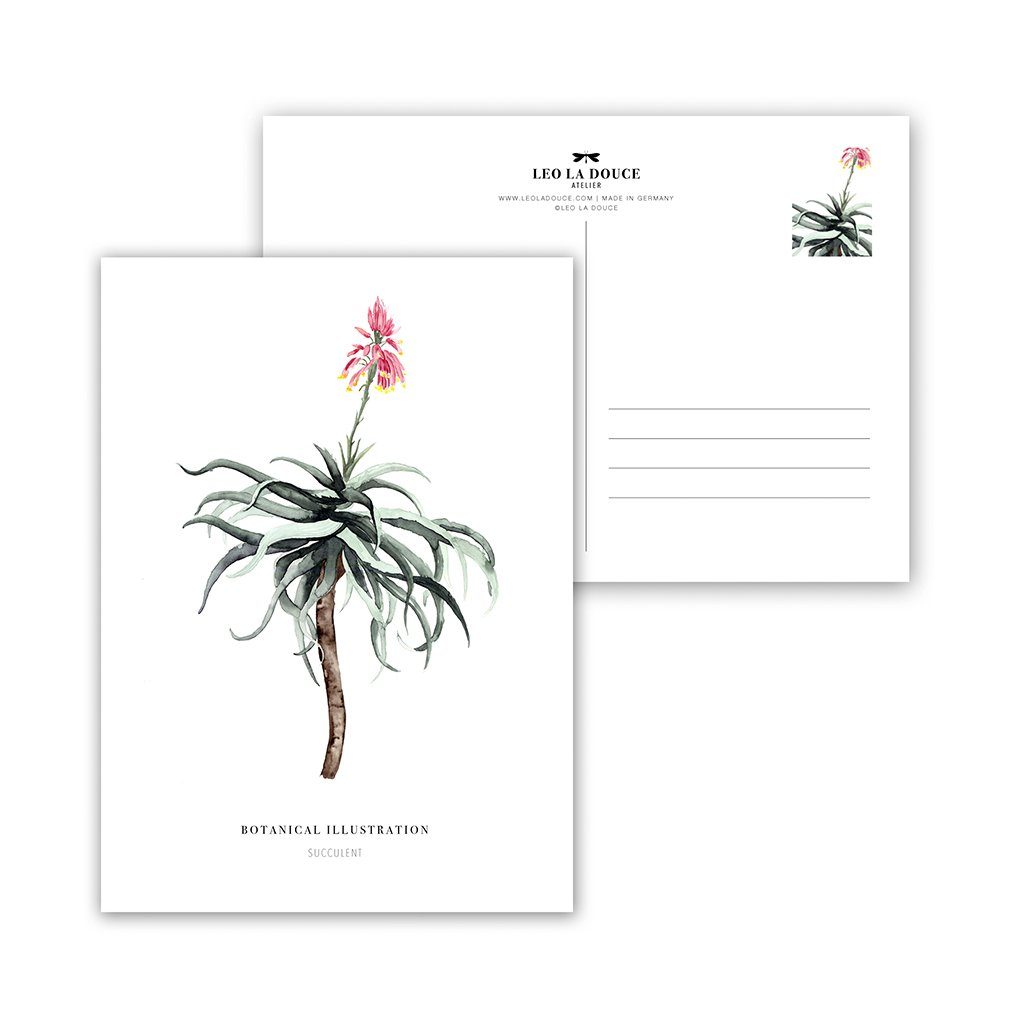 POSTKARTE - SUKKULENT