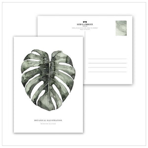 POSTKARTE - URBAN MONSTERA