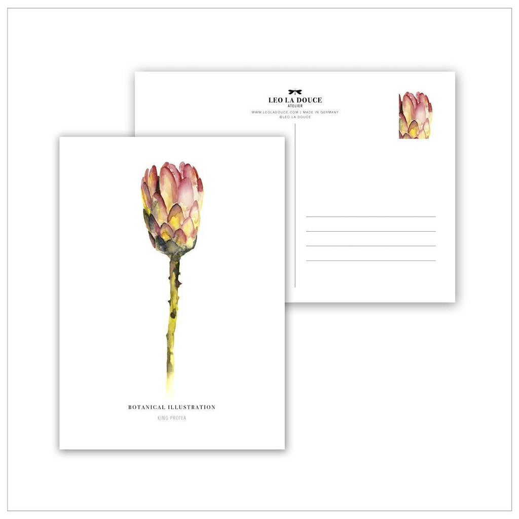 POSTKARTE - RED KING PROTEA