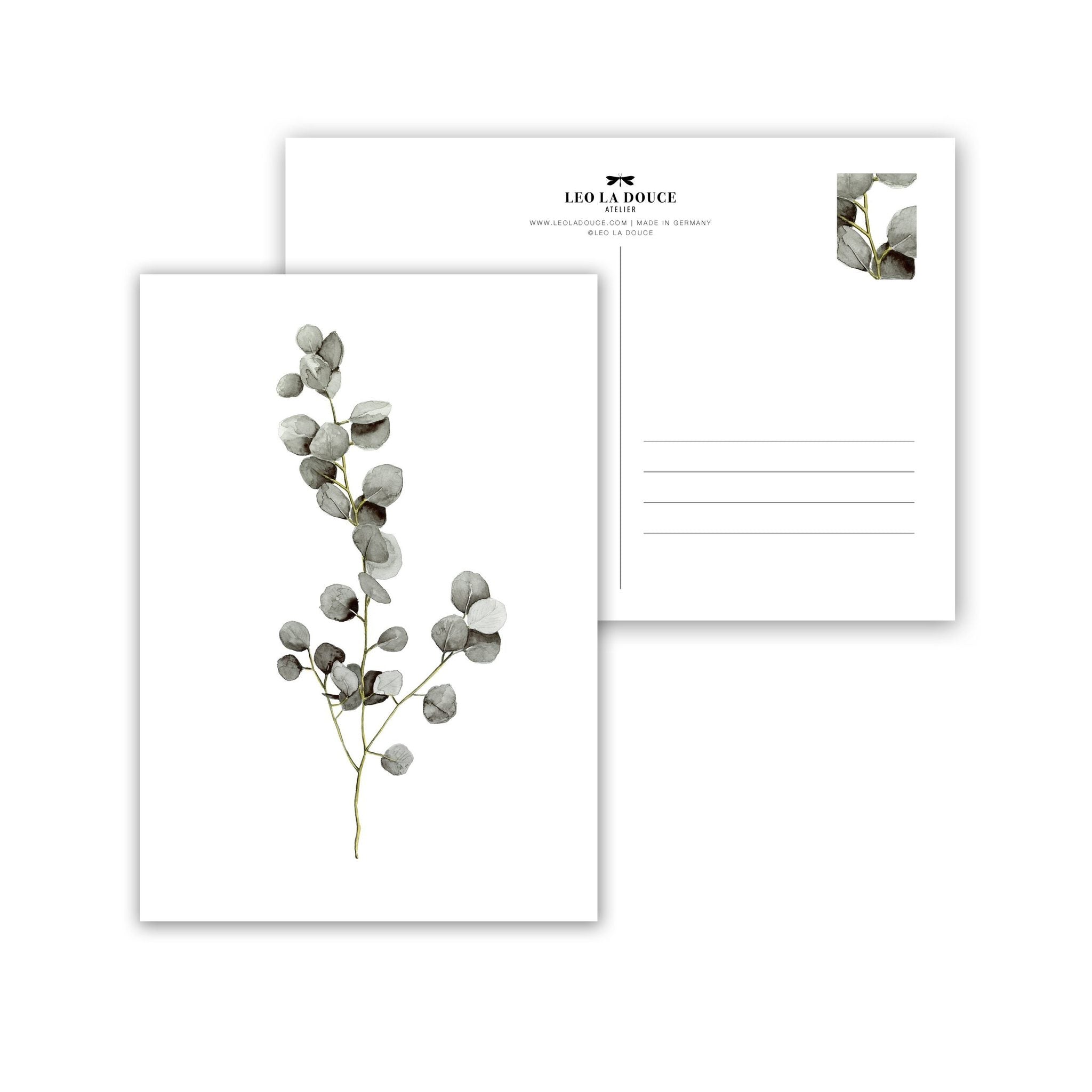POSTKARTE - EUCALYPTUS