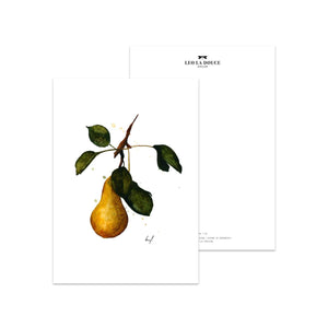 POSTKARTE - PEAR