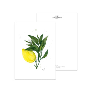 POSTKARTE - LEMON