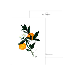 POSTKARTE - ORANGE