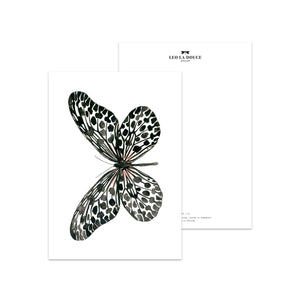 POSTKARTE - BLACK BUTTERFLY