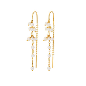 OCEAN TREASURE EARCHAINS